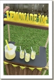 2021 - ACCESSORIES - LEEANN -  LEMONADE ACCESSORY SET