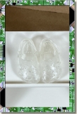 CDS-SHOES-LEEANN-FROG-JELLY CLEAR