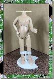 CDS-BASIC-LEEAA-ARTICULATED UPGRADE