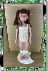 CDS-BASIC-LEEANN-BROWN PIGTAILS