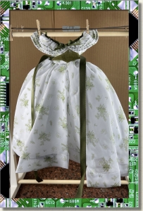 CDS-OUTFITS-LEEANN-BBQ DRESS