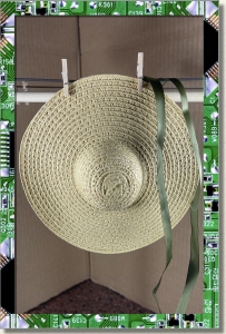 CDS-OUTFITS-LEEANN-BBQ HAT