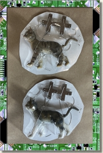 CDS-EVERYTHINGELSE-CAT MARIONETTES