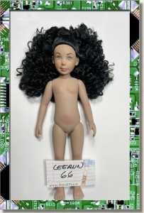 CDS-SMPL-LEEANN-66