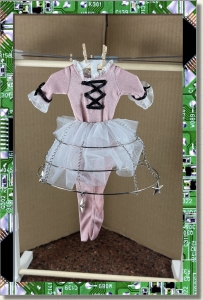 CDS-OUTFITS-LEEANN-DANCING WITH THE STARS