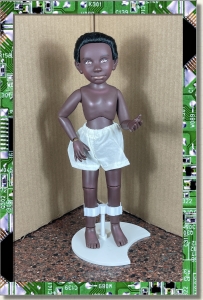 CDS-BASIC-LEROY-DARK ARTICULATED
