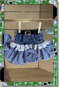 CDS-OUTFITS-LEEANN-RODEO SKIRT