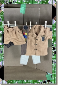 CDS-OUTFITS-LEEANN-TOY TROUPERS-SHORTS