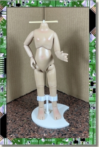 CDS-BASIC-LEEAA-ARTICULATED UPGRADE