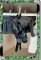 CDS-BALLET-SHOES-BLACK