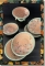 DNH - MD013 ( 12 piece set )