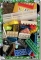 CDS-EVERYTHINGELSE-DOLLYBRICKS-LARGE