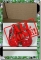 CDS-SHOES-LEEANN-QUILTED MJ-RED