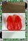 CDS-SHOES-LEEANN-FROG-JELLY RED