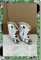 CDS-SHOES-LEEANN-BOOTS-RODEO BOOTS